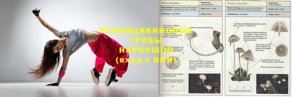 синтетический гашиш Киреевск