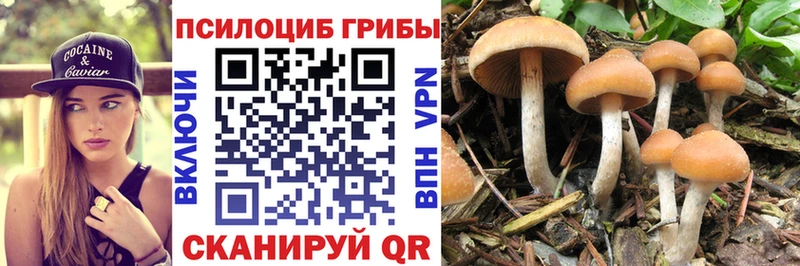 Галлюциногенные грибы мицелий  MEGA как зайти  Бокситогорск 